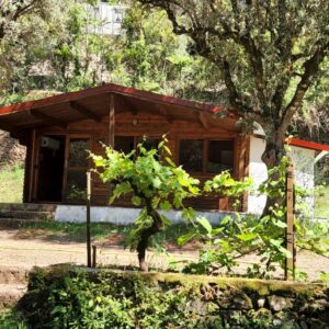Cabin
