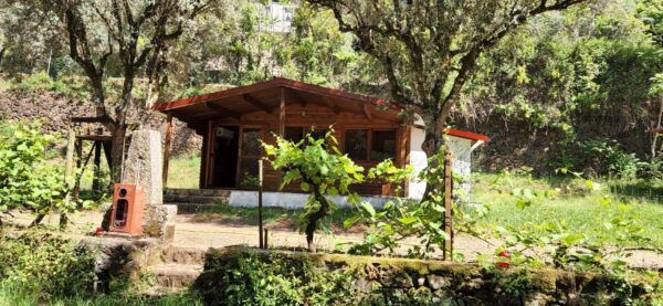 Cabin